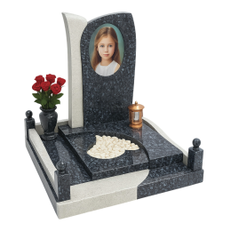 ПАМЯТНИК Д81