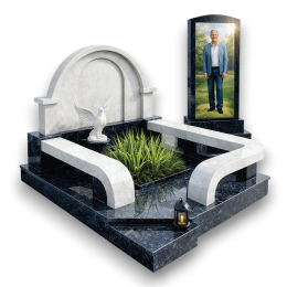 Белый голубь