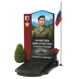 ПАМЯТНИК ВОЕННОМУ Н138